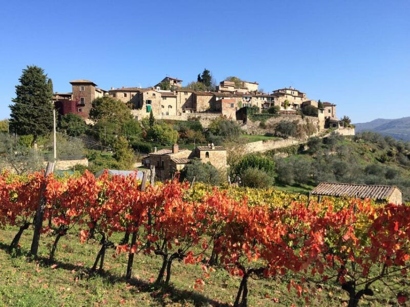 3-chianti-wineries-private-tour-from-florence-or-siena