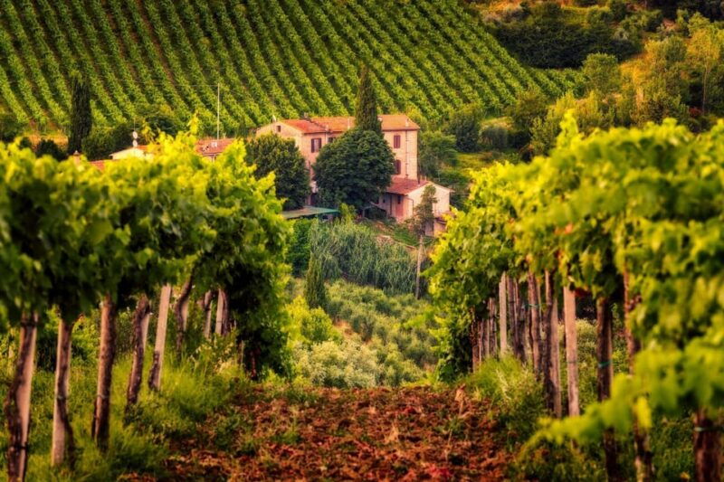 3-chianti-wineries-private-tour-from-florence-or-siena