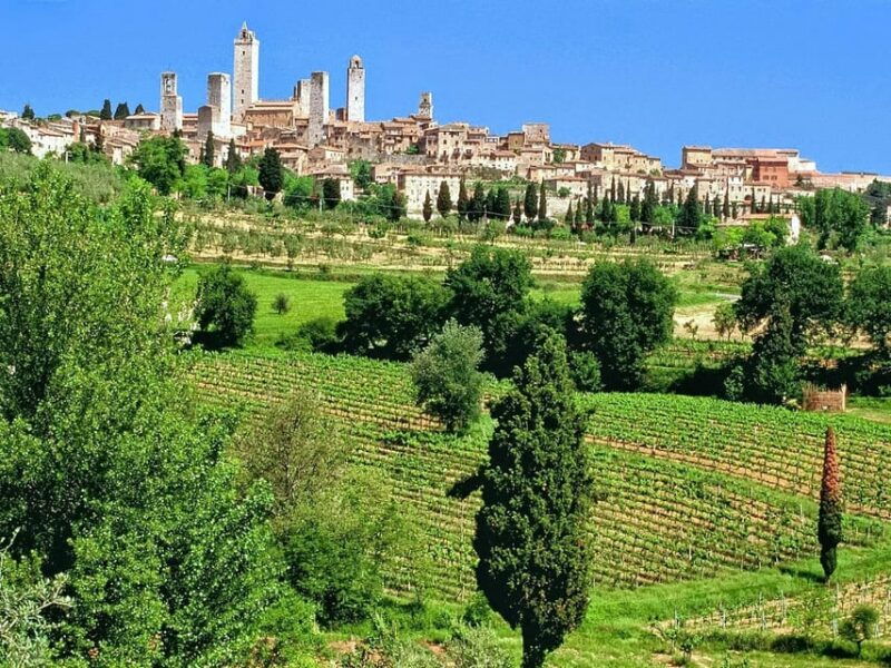 3-chianti-wineries-private-tour-from-florence-or-siena