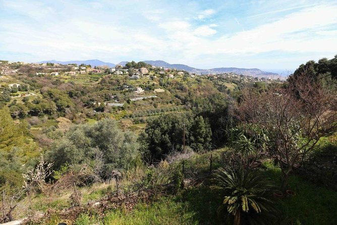 3-course-organic-dinner-in-garden-with-views-of-french-riviera