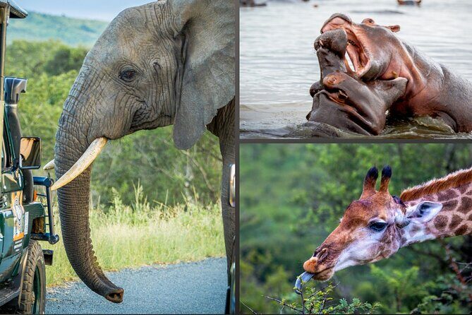 3 Day 2 Night Hluhluwe, St Lucia, Isimangaliso Tour - Key Points