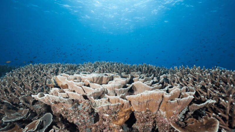 3-day-2-night-komodo-tour