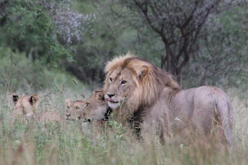 3-day 2-Night safari from Dar-es-Salaam to Mikumi National P - Who Should Consider This Tour?