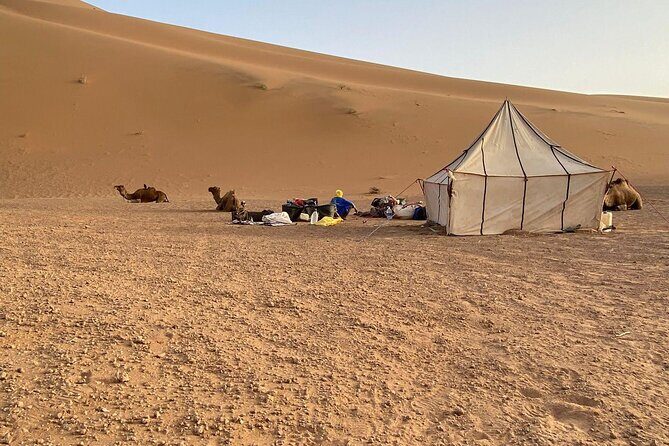 3-day 2-night Sahara Desert Adventure - The Sum Up