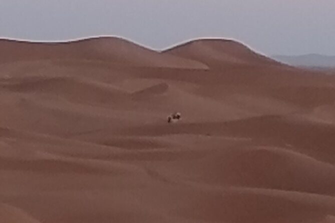 3-day 2-nights desert adventure and Berber encounter - Final Thoughts: Is This Tour for You?