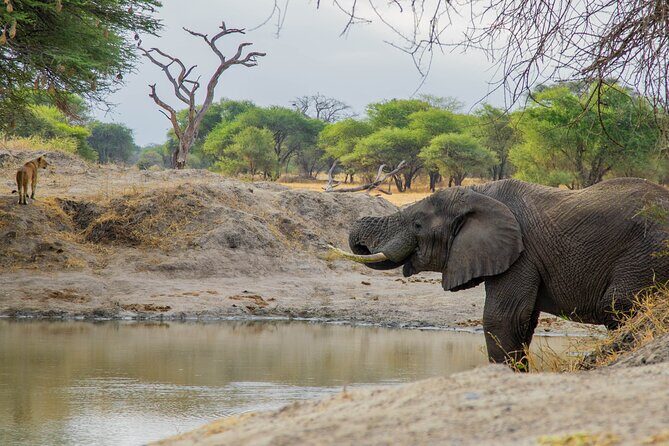 3-Day / 2 Nights Group Safari Serengeti & Ngorongoro Crater - Why This Safari Could Be Perfect for You