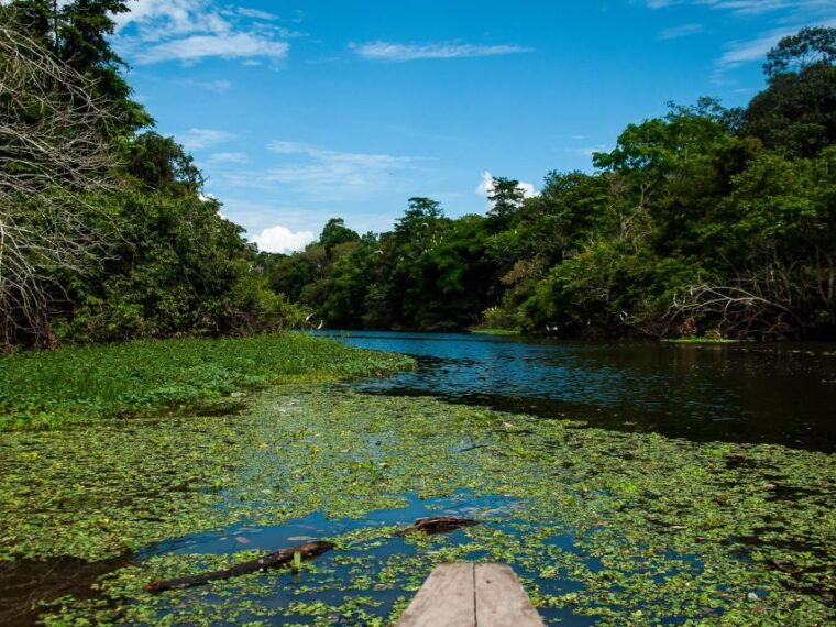 3-day-all-inclusive-guided-jungle-tour-from-iquitos-2