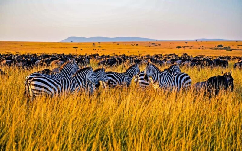 3-Day Amazing Serengeti and Ngorongoro Safari - Final Thoughts