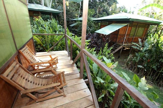 3-day-amazon-from-puerto-maldonado-with-eco-lodge-accommodation