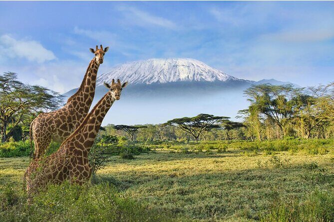 3 Day Amboseli Kenya Safari Tour with African Gift - Key Points