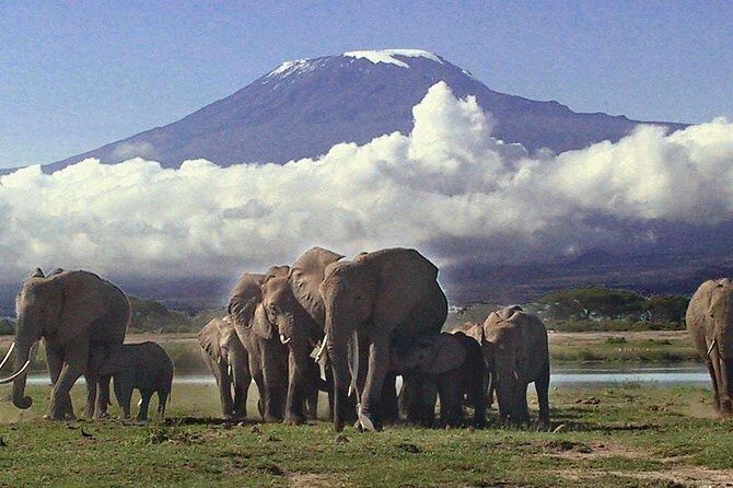 3 Day Amboseli National Park All-Inclusive Camping Safari - Why This Tour Stands Out