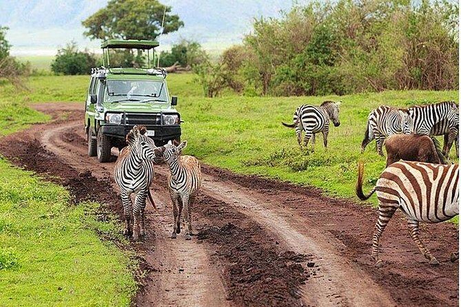 3 Day Amboseli National Park All-Inclusive Camping Safari - Breaking Down the Itinerary