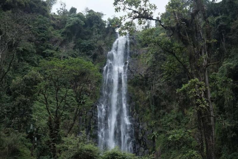 3-Day Arusha, Tarangire, and Materuni Waterfall Tour - What to Bring and Considerations