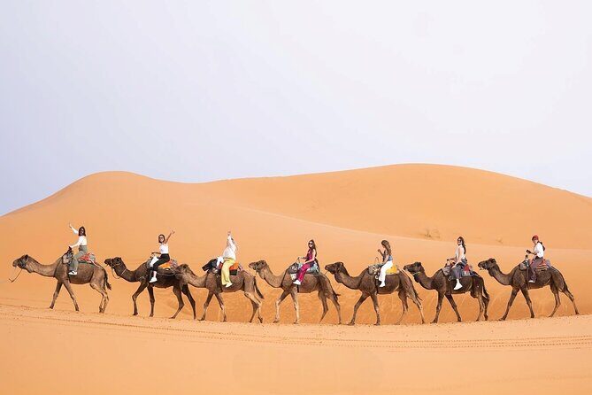 3-Day Best Desert Tour from Fez to Marrakech via Merzouga - Final Thoughts