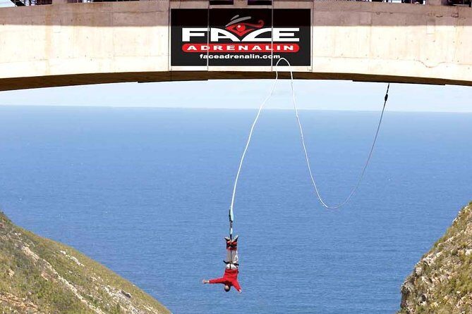 3 Day Big 5 and Bungee Tour - Garden Route Small Group Tour from Cape Town - Key Points