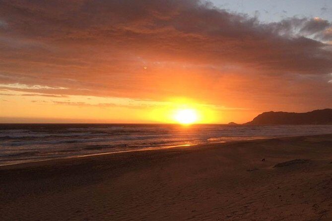 3 Day Big 5 and Bungee Tour - Garden Route Small Group Tour from Cape Town - Who Will Love This Tour?