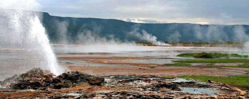 3-Day Bird Watching Lake Nakuru, Lake Bogoria& Lake Naivasha - Day 2: From Lake Nakuru to Lake Bogoria