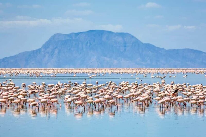3-Day Bird Watching Lake Nakuru, Lake Bogoria& Lake Naivasha - FAQ