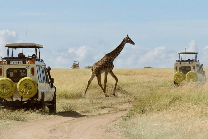 3-Day Budget Maasai Mara Joining Safari with 4x4 LandCruiser Jeep - Exploring the 3-Day Budget Maasai Mara Joining Safari with 4x4 LandCruiser Jeep