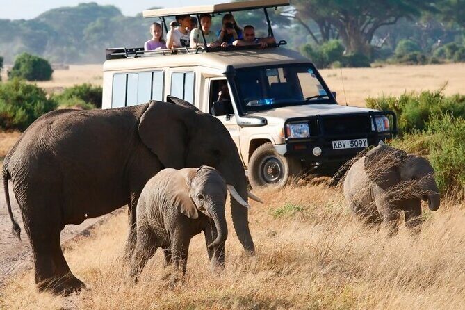 3-Day Budget Maasai Mara Joining Safari with 4x4 LandCruiser Jeep - Key Points