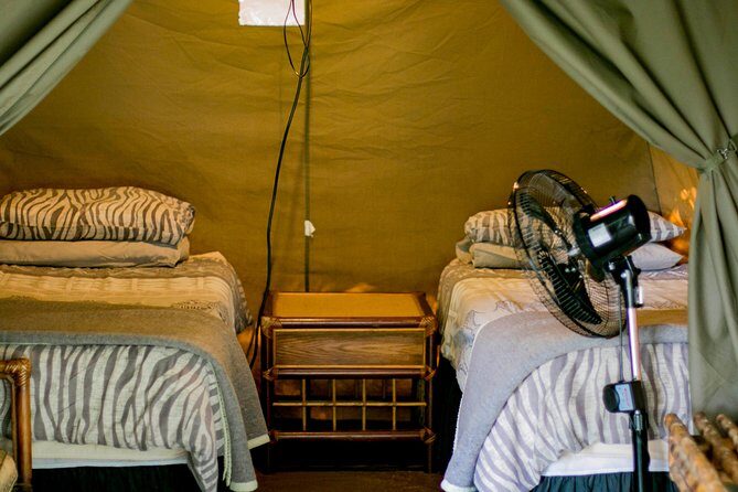 3 Day Budget Tent Kruger National Park Safari - What to Expect from Your 3-Day Adventure