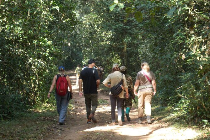 3 Day Bwindi gorilla flying in safari - What You Might Expect During the Trek