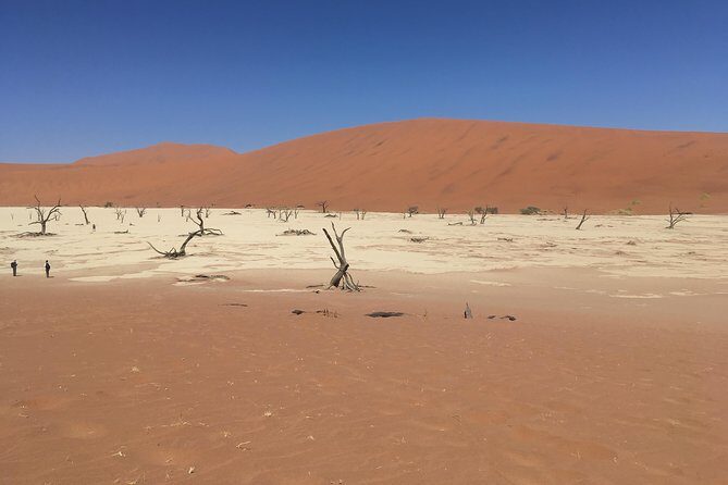 3 Day Camping safari at Sossusvlei - Experience the Magic of a 3-Day Camping Safari at Sossusvlei