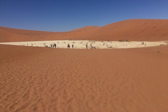 3 Day Camping safari at Sossusvlei - What Travelers Say
