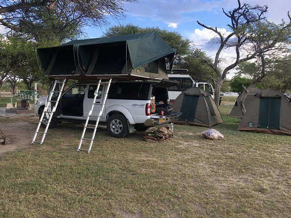 3 Day Camping tour at Etosha National Park - Key Points