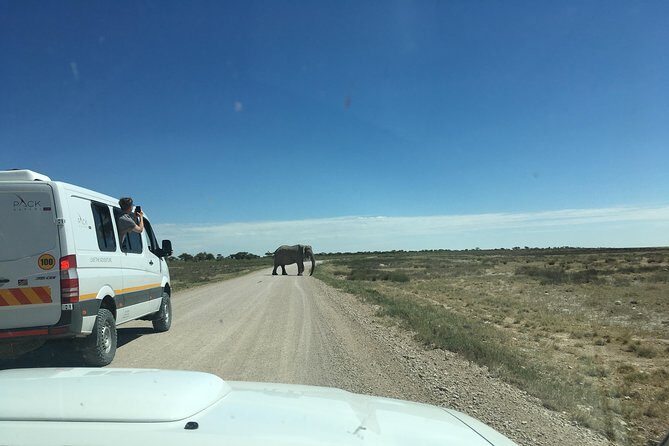 3 Day Camping tour at Etosha National Park - Final Thoughts