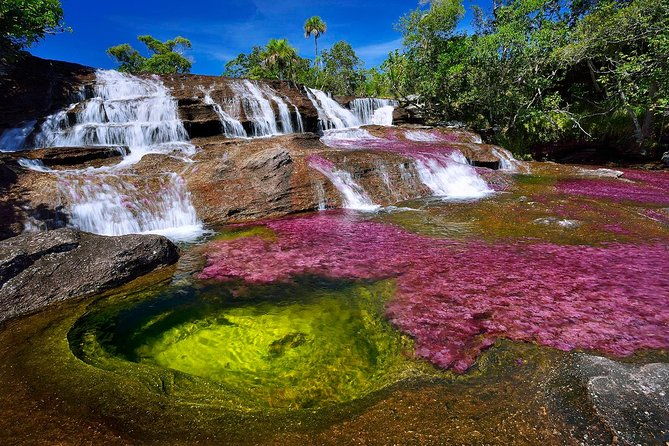 3-day-cano-cristales-rainbow-river-from-bogota