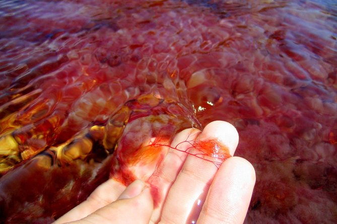 3-day-cano-cristales-rainbow-river-from-bogota