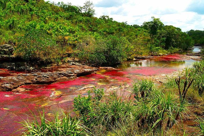 3-day-cano-cristales-rainbow-river-from-bogota