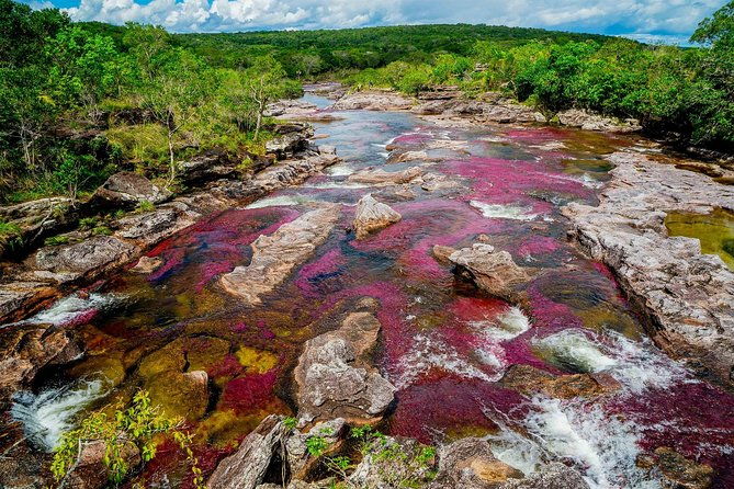 3-day-cano-cristales-rainbow-river-from-bogota