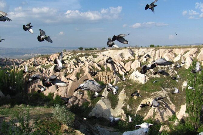 3-day-cappadocia-trip-including-hot-air-balloon-ride-camel-ride