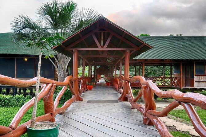 3-day-charms-of-the-amazon-jungle-in-tambopata