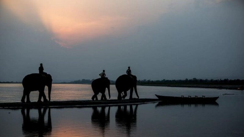 3-day-chitwan-jungle-safari-adventure-from-kathmandu-pokhara