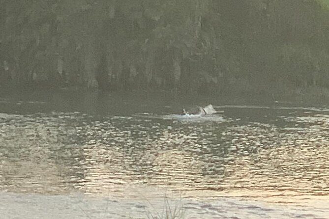 3-Day Chitwan Jungle Safari from Kathmandu All-Inclusive Tour - The Experience From a Traveler’s Perspective