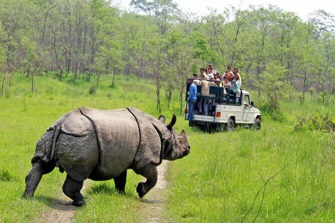 3 Day Chitwan National Park, Jungle Safari Package all Inclusive - Detailed Day-by-Day Breakdown