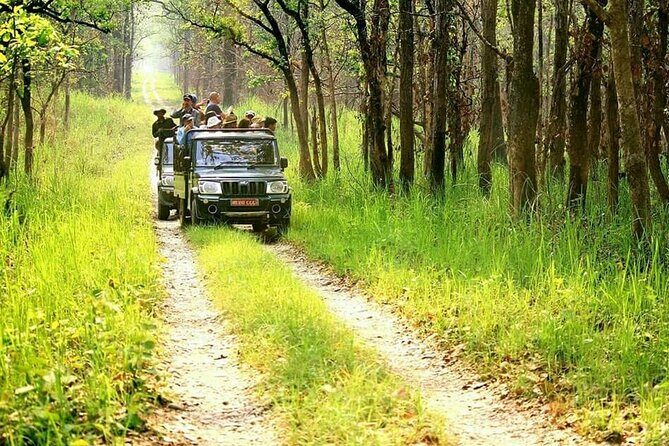 3 Day Chitwan National Park, Jungle Safari Package all Inclusive - The Experience of Support and Conservation