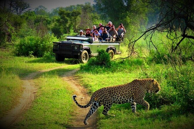 3 Day Chitwan National Park, Jungle Safari Package all Inclusive - The Practical Side: Transportation, Timing, and Group Size