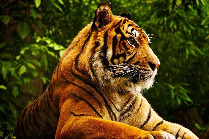 3 Day Chitwan National Park, Jungle Safari Package all Inclusive - Who Will Love This Experience?