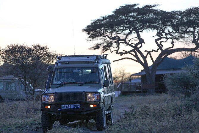 3-Day Classic Serengeti Safari - An In-Depth Look at the 3-Day Serengeti Safari Experience