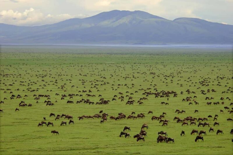 3-Day Crater Tour, Lake Manyara, & Tarangire National Park - Day 2: Descending into Ngorongoro Crater
