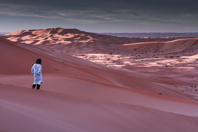 3-Day desert tour Marrakech to Fes via Merzouga - Oasis Stop: Skoura