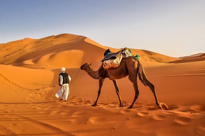 3-Day desert tour Marrakech to Fes via Merzouga - Day 2: Camel Trekking and Desert Nights
