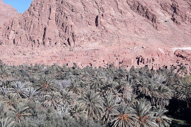 3-Day Desert Tour to Fez: Ouarzazate and Berber Village from Marrakech - Is This Tour Worth the Price?