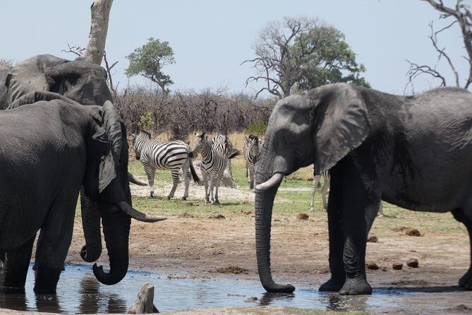 3 Day Desert Trail: Central Kalahari Game Reserve - WildCamping Safari - An In-Depth Look at the 3-Day Desert Trail Safari
