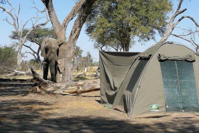 3 Day Desert Trail: Central Kalahari Game Reserve - WildCamping Safari - Final Thoughts: Is This Safari for You?