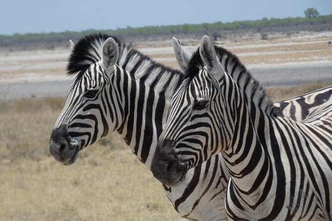 3 Day Desert Trail: Central Kalahari Game Reserve - WildCamping Safari - FAQs